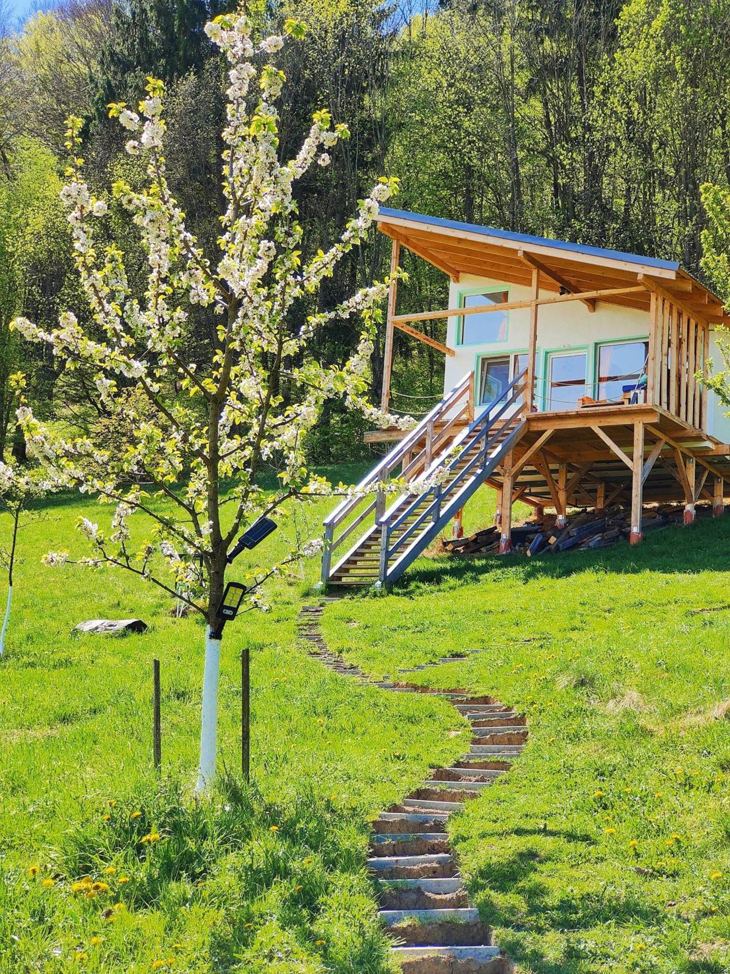 Rainbow Chalet Bran  Exteriör bild